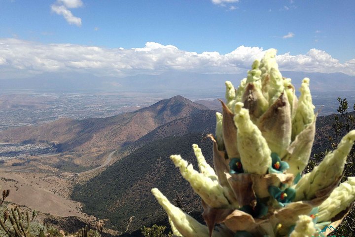 Private Half-Day Andes Hiking Experience from Santiago