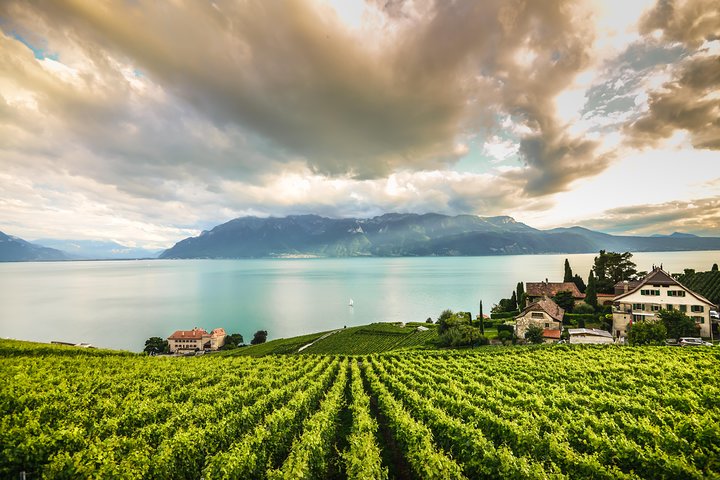 Chillon Castle & Chaplin's world Tour with cruise from Lausanne
