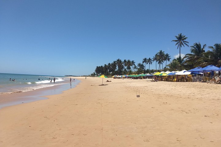Private Tour to Praia do Forte and Praia de Guarajuba from Salvador