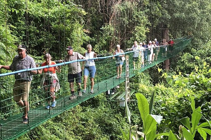 Puntarenas Shore Excursion: Rainforest Skywalk & Tarcoles River