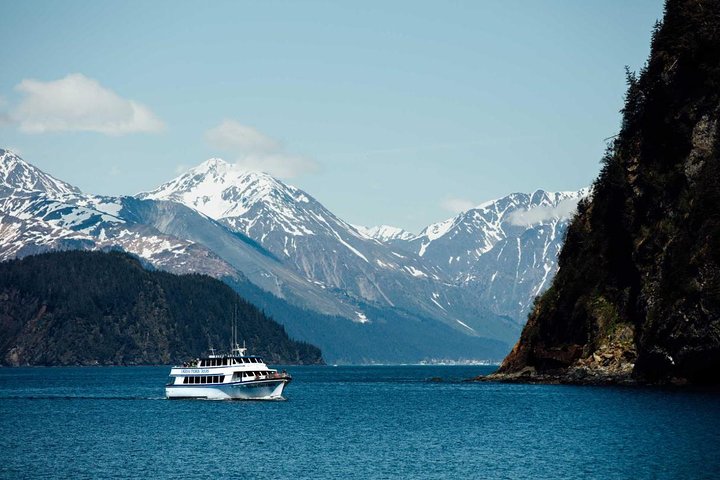 Full day Northwestern Glacier & Wildlife Tour from Seward