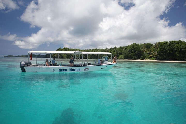 Milky Way, Shark City Island, Beach and Rock Island Tour