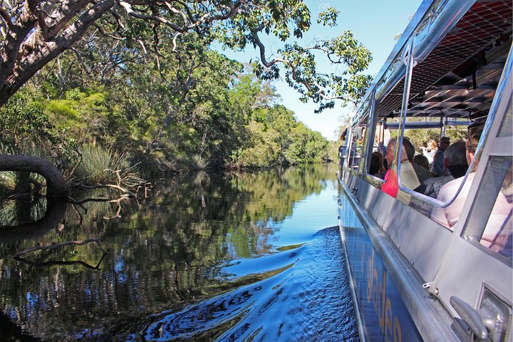 Serenity Cruise to Australia's Everglades