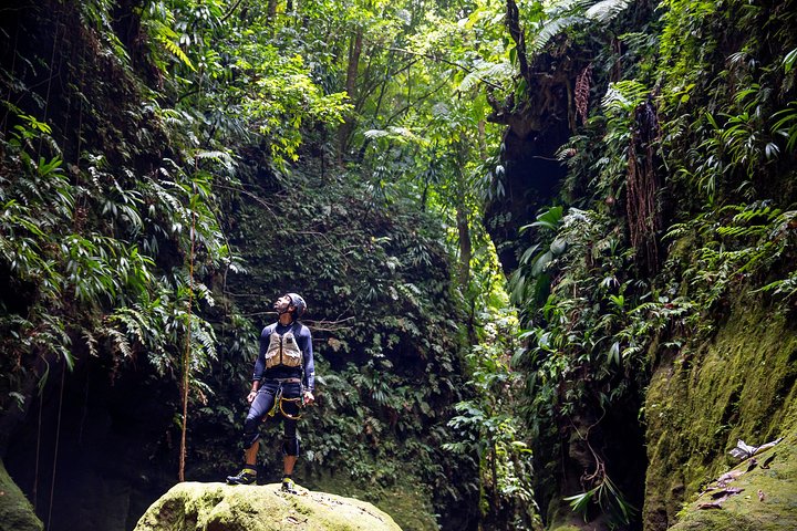 Canyon Experience in Dominica
