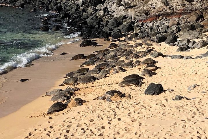 Small-Group Road to Hana Adventure Tour with Pickup & Lunch