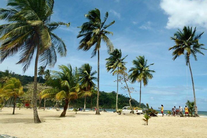 Trinidad Highlights Tour from Port of Spain