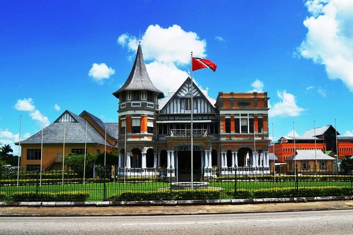 Trinidad Highlights Tour from Port of Spain