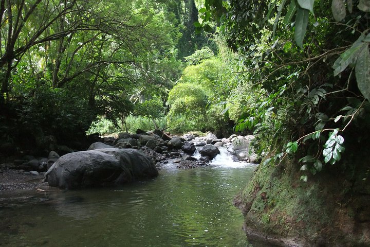 North Island Tour and Martinique Best Secret