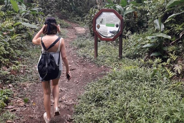North Island Tour and Martinique Best Secret