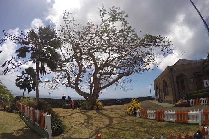 Tobago Buccoo Reef Glass Bottom Boat Cruise and Island Sightseeing Tour