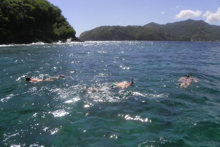 Tobago Buccoo Reef Glass Bottom Boat Cruise and Island Sightseeing Tour