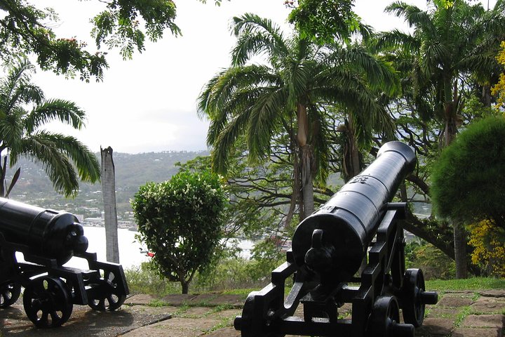 Tobago Buccoo Reef Glass Bottom Boat Cruise and Island Sightseeing Tour