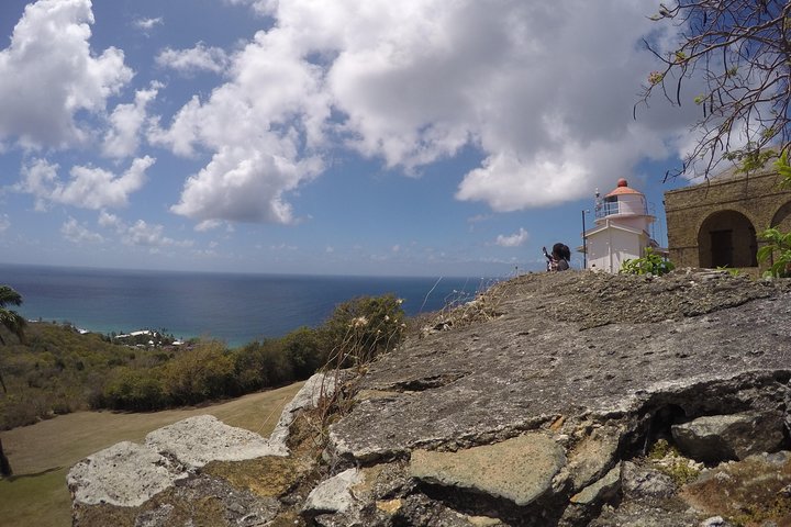 Tobago Buccoo Reef Glass Bottom Boat Cruise and Island Sightseeing Tour