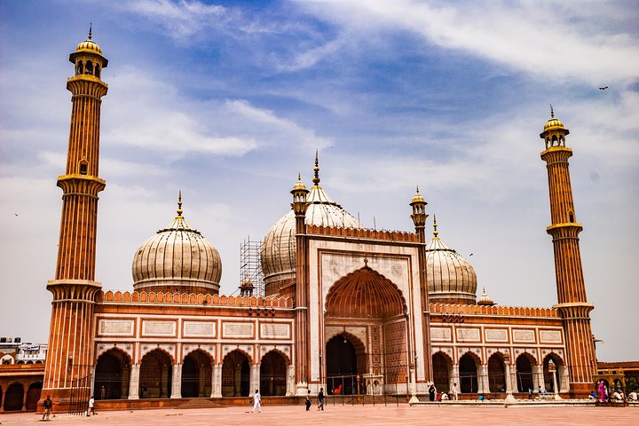 Old & New Delhi Private Tour - Half or Full Day (Rated Excellent)