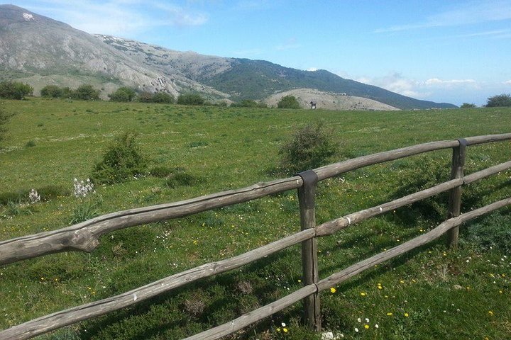 Sicilian Villages & Ricotta Tasting - including Lunch from Cefalu