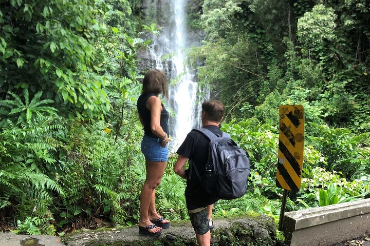 Small-Group Road to Hana Adventure Tour with Pickup & Lunch