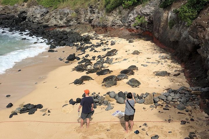 Small-Group Road to Hana Adventure Tour with Pickup & Lunch