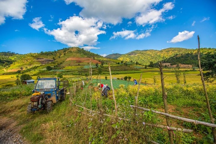 Kalaw One Day Trekking Tour
