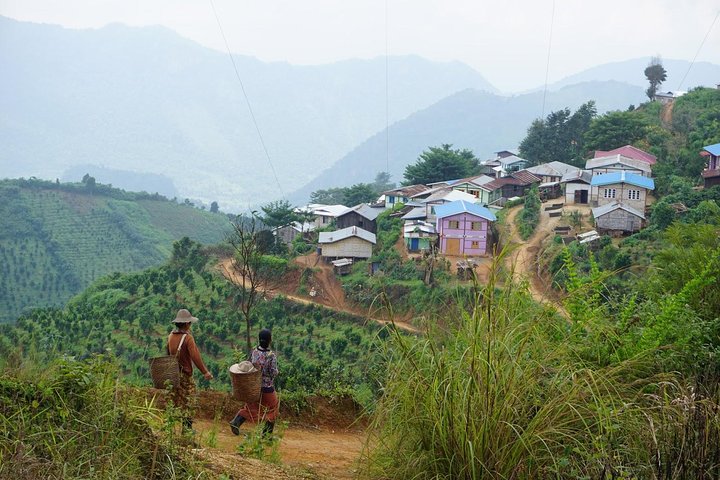 Kalaw One Day Trekking Tour