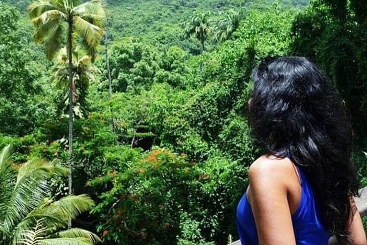 Full Island Panoramic Tour of St Kitts