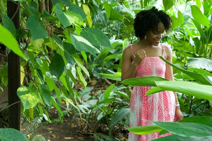 Full Island Panoramic Tour of St Kitts