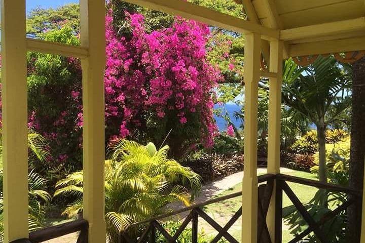Full Island Panoramic Tour of St Kitts