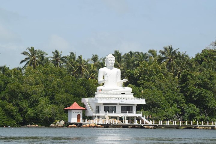 Bentota River Safari By BTM (Mangrove & Wildlife Encounter)