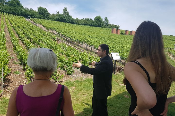 Day tour Tasting at Moët & Chandon and 2 Big Houses in Epernay