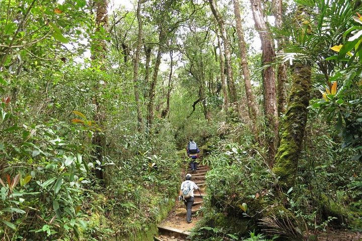 Kinabalu Park and Poring Hot Spring