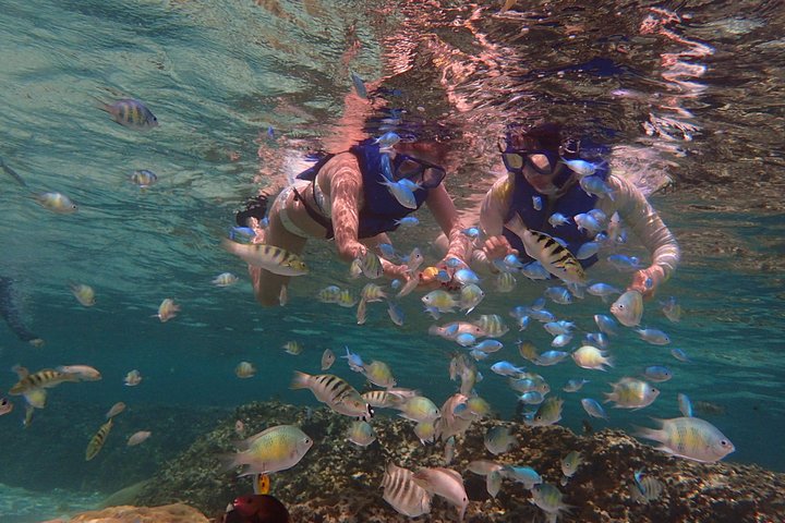 Guam's 5* Guided Snorkeling/Freediving Tour!