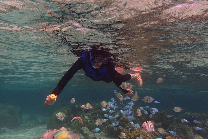 Guam's 5* Guided Snorkeling/Freediving Tour!