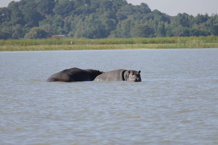 Private Guided Tours To Bahir Dar Lake Tana Monastery & Blue Nile Waterfalls