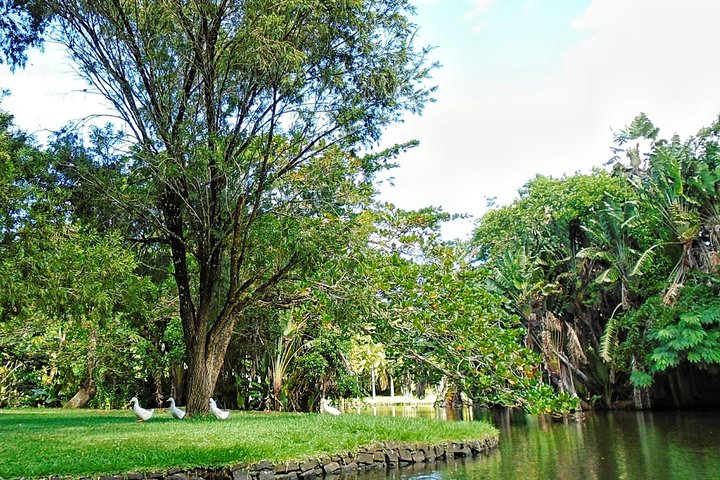 Private North Day Tour: Botanical Garden, Sugar Museum, Rum Tasting, Port Louis