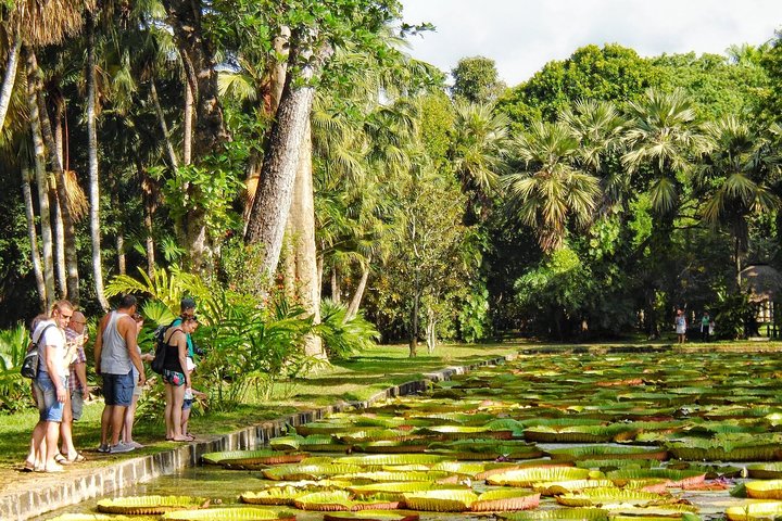 Private North Day Tour: Botanical Garden, Sugar Museum, Rum Tasting, Port Louis