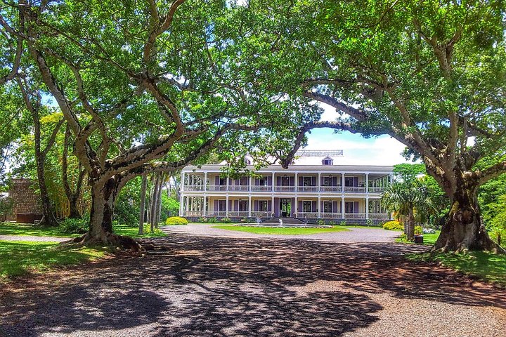 Private North Day Tour: Botanical Garden, Sugar Museum, Rum Tasting, Port Louis