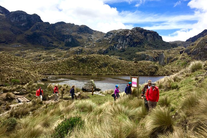 Cajas Unveiled: A Half-Day Escape from Cuenca