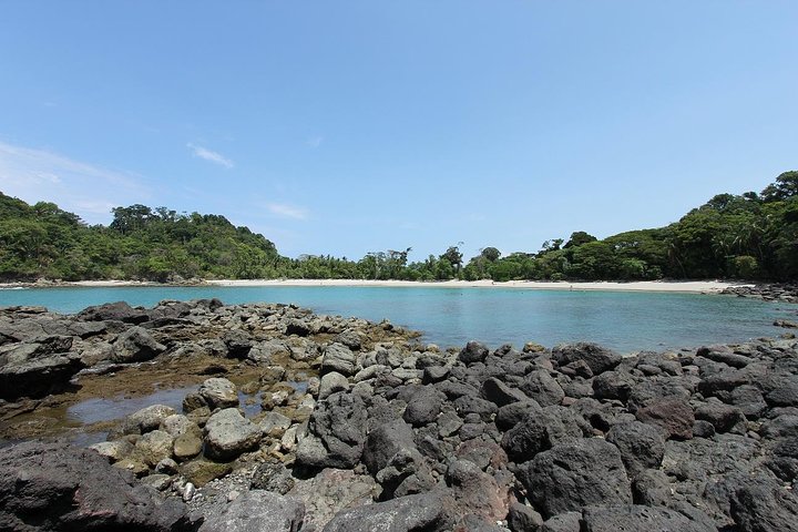 Manuel Antonio National Park Guided Tour with ticket option