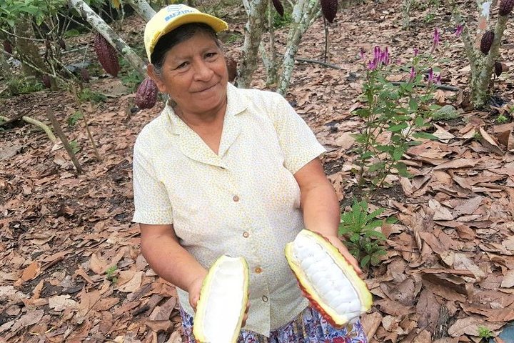 Cuenca to Guayaquil one-way tour with Cajas Park and a Cacao Farm visit