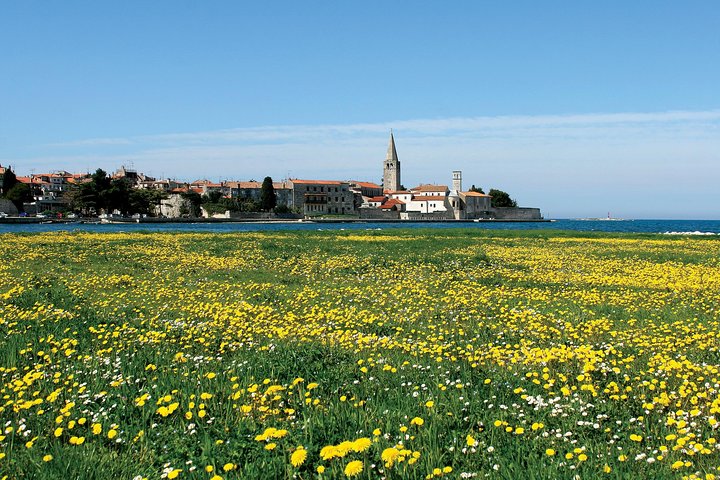 Boat trip to Rovinj and Vrsar from Poreč with lunch