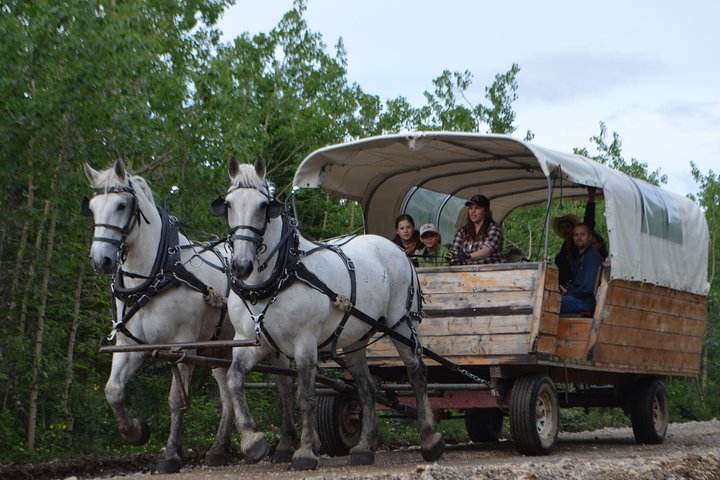 Horse-Drawn Covered Wagon Ride with Backcountry Dining
