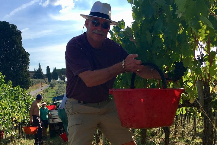 Private Tour in Siena, San Gimignano and Chianti Day Trip from Florence