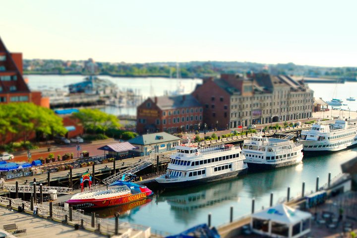 City Cruises Boston 90-Minute Harbor Sunset Sightseeing Cruise