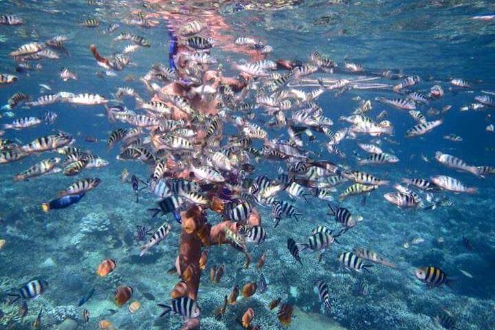 Nusa Penida Snorkeling Adventure (Private & All-Inclusive)