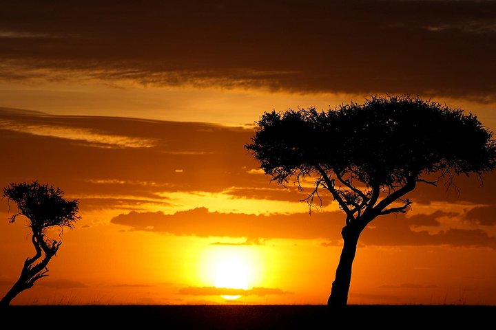 Leopard Safari Tour in Yala National Park