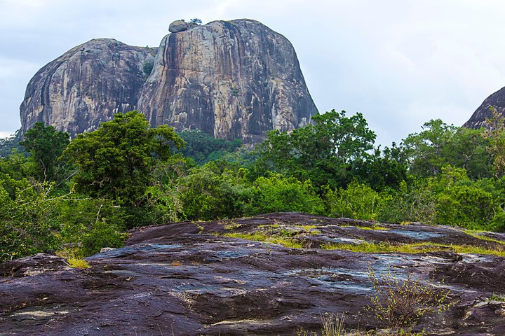 Yala Safari Tour from Hambantota Port by Ajith Safaris