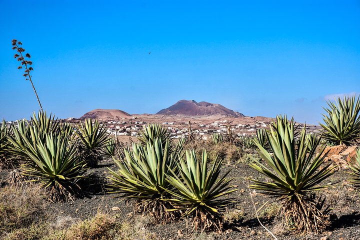Buggy Fuerteventura Off-Road Excursions
