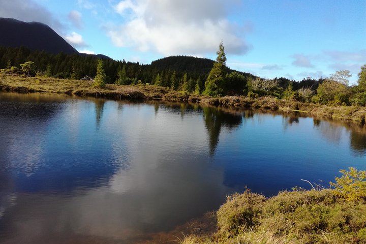 In and Around Terceira Island in a 4X4