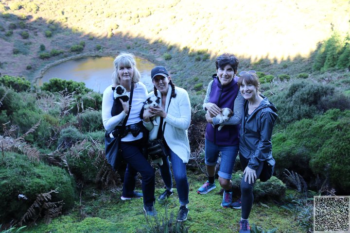 In and Around Terceira Island in a 4X4