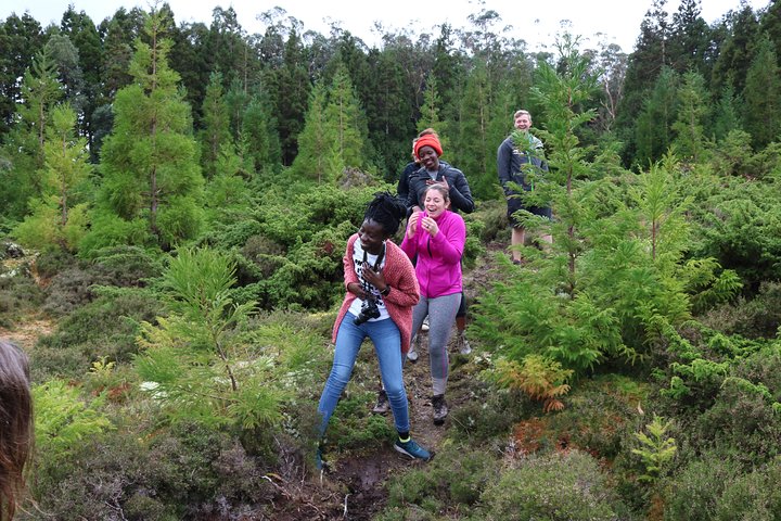 In and Around Terceira Island in a 4X4