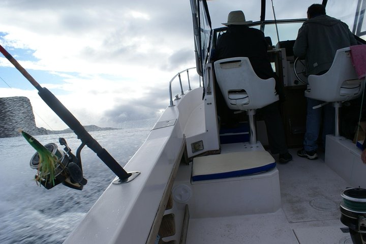 Fish In the Azores